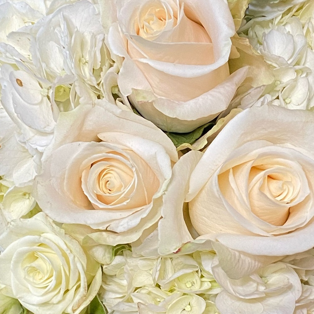 Meet your Posher, Wendy